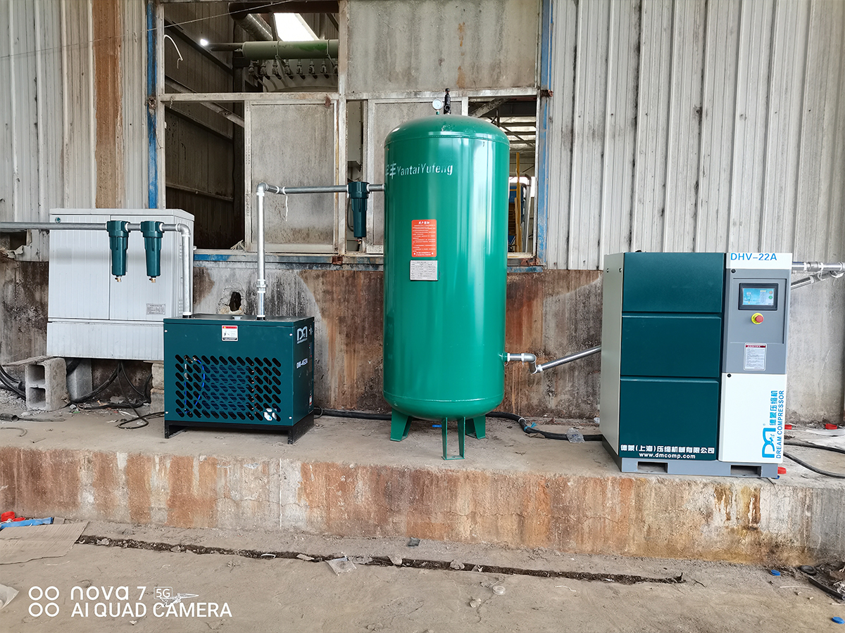 山东某淀粉科技有限公司采购德蒙DHV-22A案例